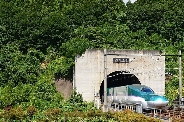 Proje planlandığında Honshu ile Hokkaido arasındaki ulaşımın ana yolu feribotlardı