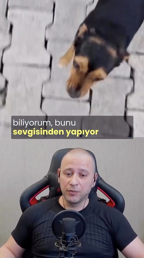 Hatırlarsanız geçtiğimiz günlerde bir kadının köpeğini sevme şekli sosyal medyada viral olmuştu.