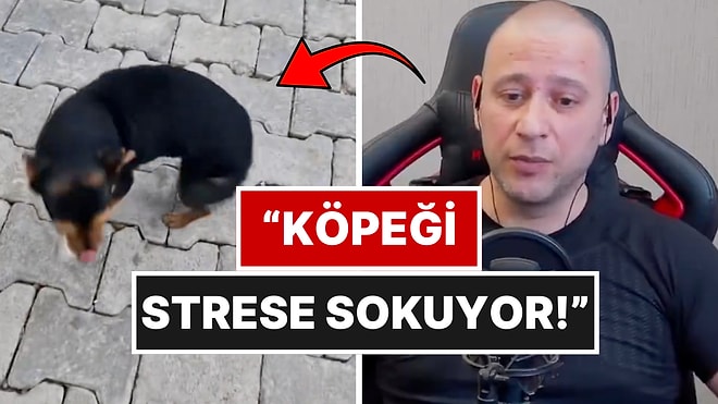 Köpeğini Sevme Şekliyle Viral Olan Kadına Köpek Eğitmeninden Beklenmedik Eleştiri!