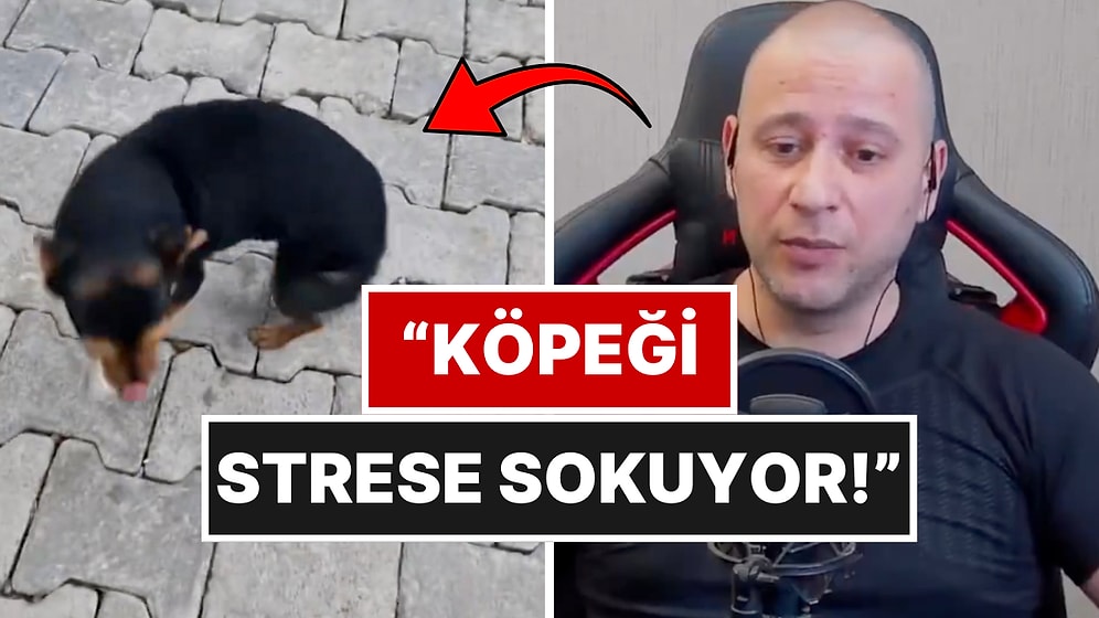Köpeğini Sevme Şekliyle Viral Olan Kadına Köpek Eğitmeninden Beklenmedik Eleştiri!