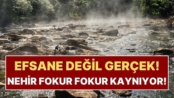 Efsane Değil Gerçek: Amazon’un Ortasında Kaynayan Nehir 91 Dereceyi Aşıyor!