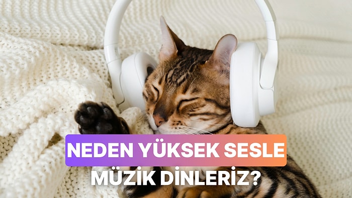 Neden Yüksek Sesle Müzik Dinlemeyi Tercih Ediyoruz?