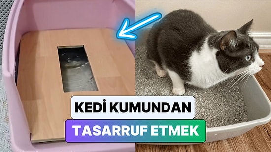 Bir Kedi Sahibi Kum Masrafından Kurtulmak İçin Hazırladığı Düzeneği Paylaştı