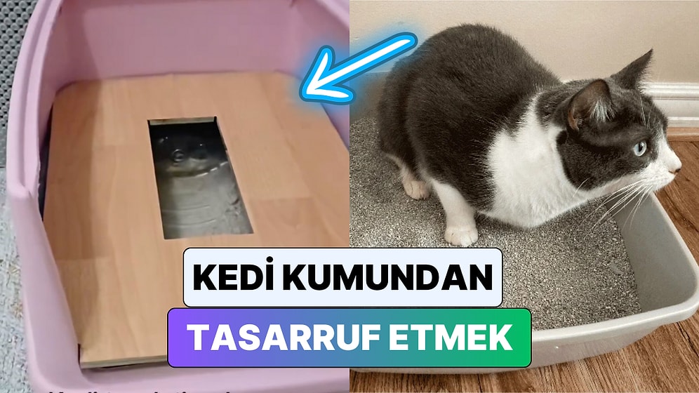 Bir Kedi Sahibi Kum Masrafından Kurtulmak İçin Hazırladığı Düzeneği Paylaştı