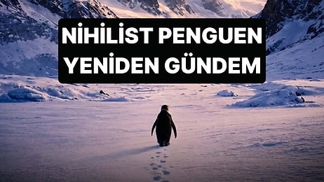 Sosyal Medyanın Konuştuğu Nihilist Penguenin Hikayesi Ne Anlatıyor?