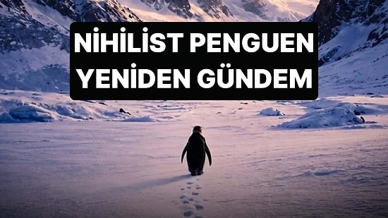 Sosyal Medyanın Konuştuğu Nihilist Penguenin Hikayesi Ne Anlatıyor?