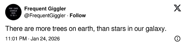 "Yeryüzünde, galaksimizdeki yıldızlardan daha fazla ağaç var."