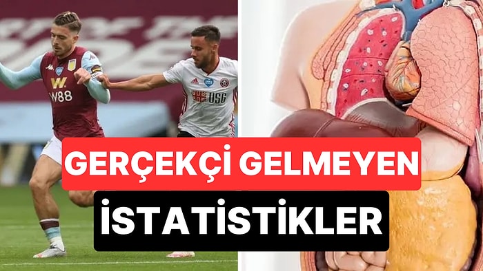 Kulağa Gerçekçi Gelmese de İstatistiklerle Doğrulanan Gerçekleri Paylaşan X Kullanıcıları