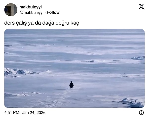 Goygoy malzemesine dönüştüren de...