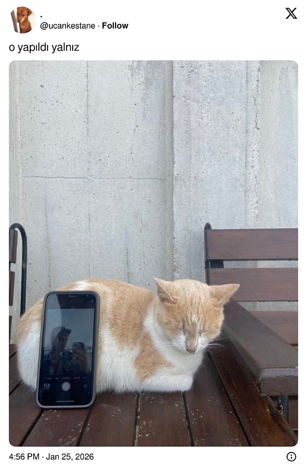 Tabii bu ilginç görüntüye yorumlar da geldi.