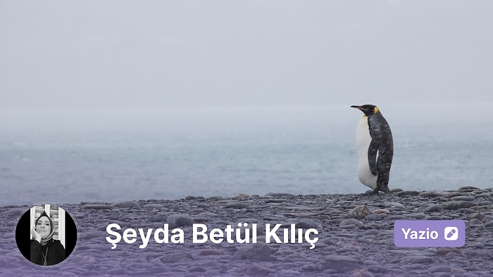 Penguen ve Tekilliği Bize Ne Söylüyor?