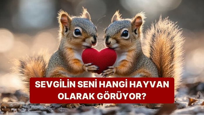 Sevgilin Seni Hangi Hayvan Olarak Görüyor?