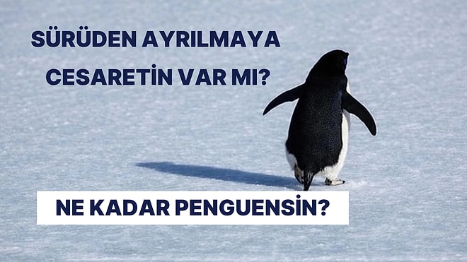Ne Kadar “Penguensin”?