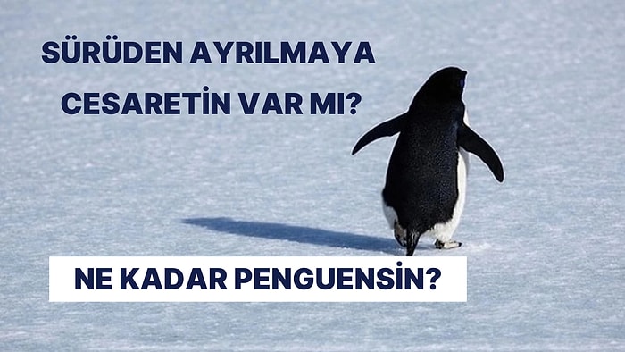 Ne Kadar “Penguensin”?