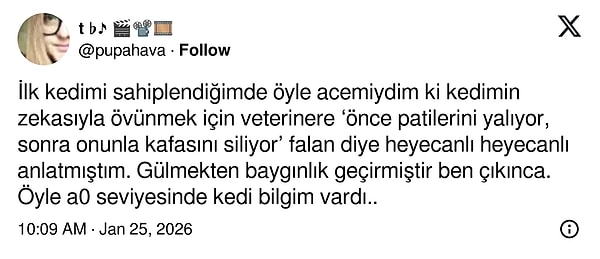 Bir X kullanıcısı da ilk kedisinde yaşadığı acemiliği anlattı.