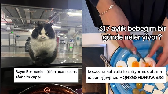 Uğur Dündar Kediden Eşine Bebek Gibi Bakanlara Son 24 Saatin Viral Tweetleri