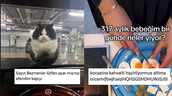 Uğur Dündar Kediden Eşine Bebek Gibi Bakanlara Son 24 Saatin Viral Tweetleri