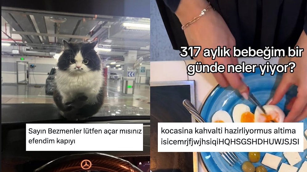 Uğur Dündar Kediden Eşine Bebek Gibi Bakanlara Son 24 Saatin Viral Tweetleri