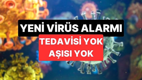 Nipah Virüsü Alarmı: Nipah Virüsü Nedir, Nasıl Bulaşır?