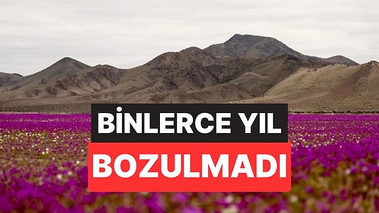 400 Yıldır Yağmur Yağmayan Çölün Toprağından Gizli Servet Çıkıyor!