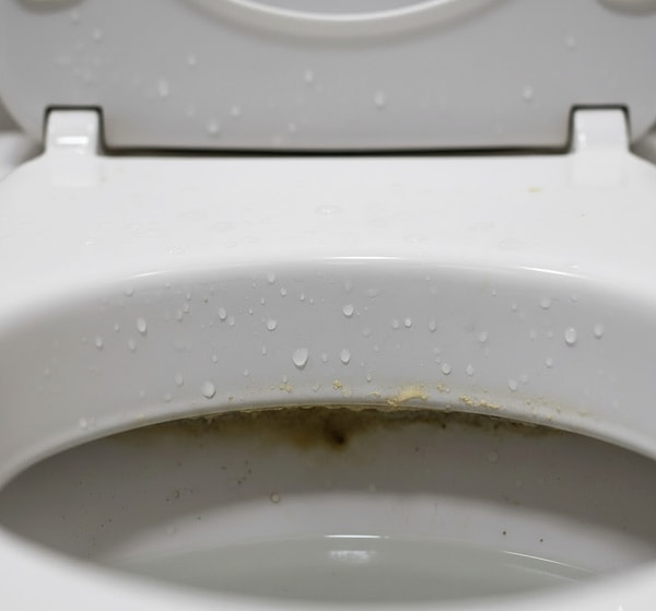 Klozetin iç kenarları, suyun sürekli devirdaim yaptığı ve minerallerin çökelmesi için en uygun zemin olan bölgelerdir.