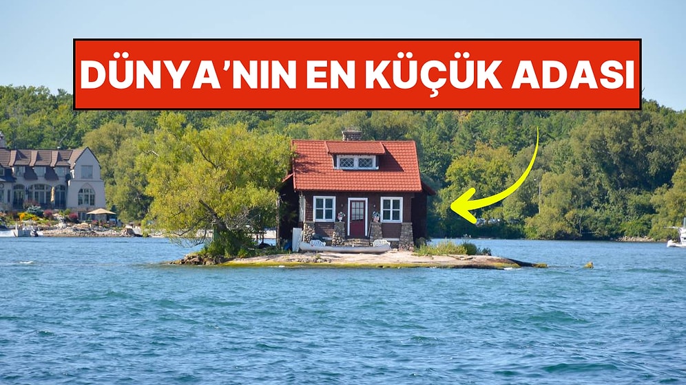 Stüdyo Daire Gibi Ada! Dünyanın En Küçük Adasına Sadece 1 Ev ve 1 Ağaç Sığıyor
