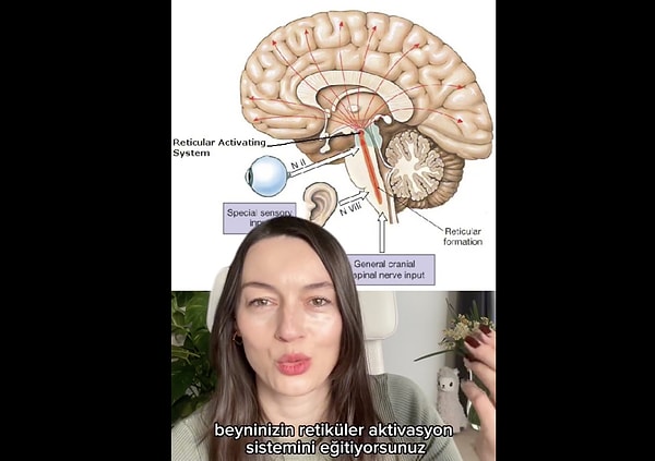 Uzman Psikolog Nurgül Canatan'ın anlattığına göre "manifest" kavramının bilimsel temeli, beynimizdeki Retiküler Aktivasyon Sistemi (RAS) adı verilen bir mekanizmaya dayanıyor.