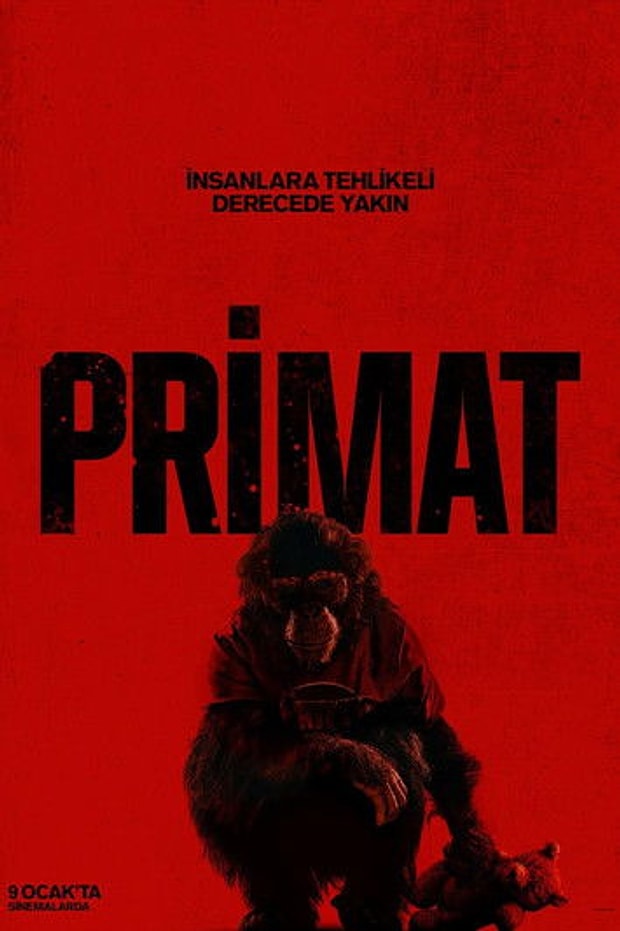 Primat Posteri