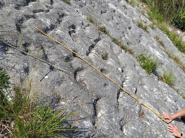 Cretaceous Research dergisinde yayımlanan çalışma, bu izlerin arkasındaki dramatik hikayeyi gün yüzüne çıkardı.