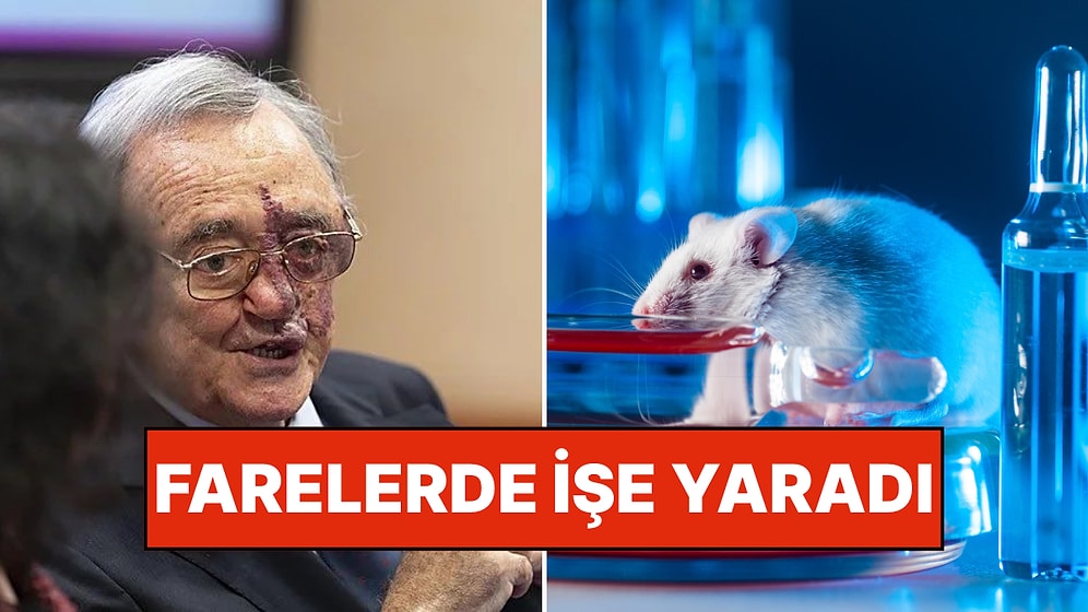 Bilim İnsanları Çığır Açan Bir Çalışmayla Kobaylarda Pankreas Kanserini İyileştirmeyi Başardı