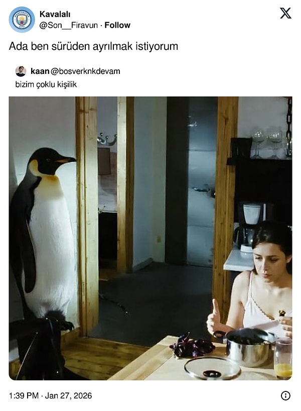 Penguensiz günümüz geçmiyor...