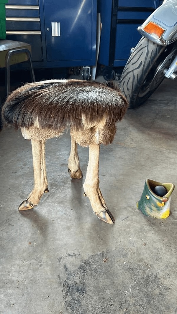 5. Doğadan ilham alamayanlarda bugün!