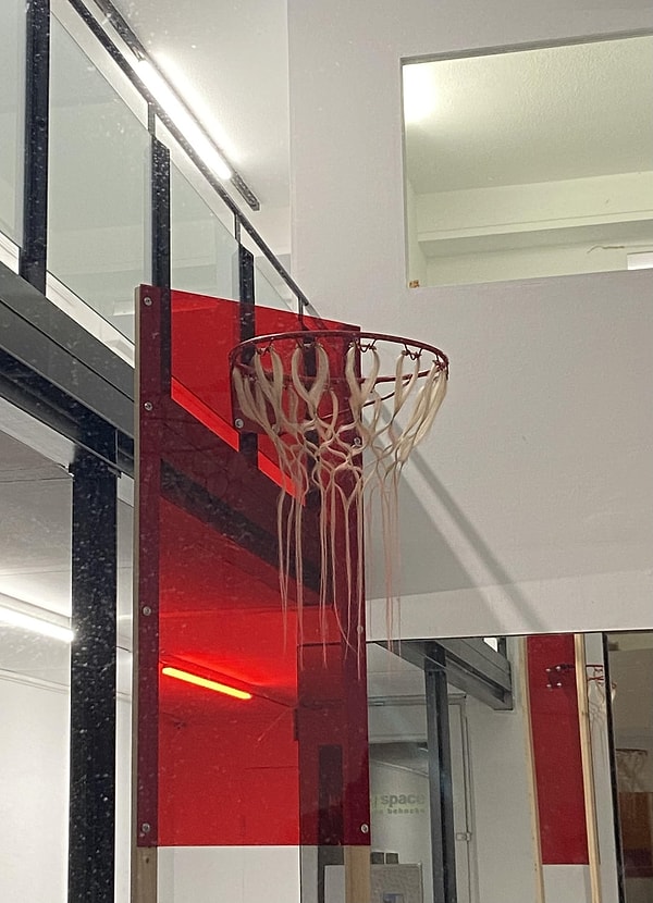 12. Gerçek saç olduğuna inanmalı mıyız?