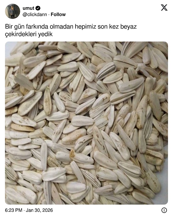 Gerçekten nereye gittiler?