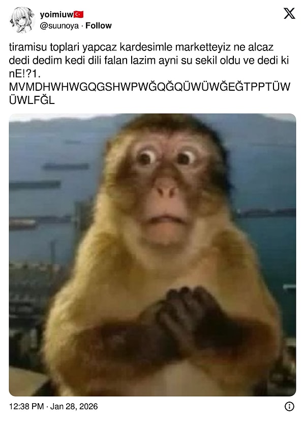 Kedi dilini ilk duyduğumuzda yaşadığımız şok :)