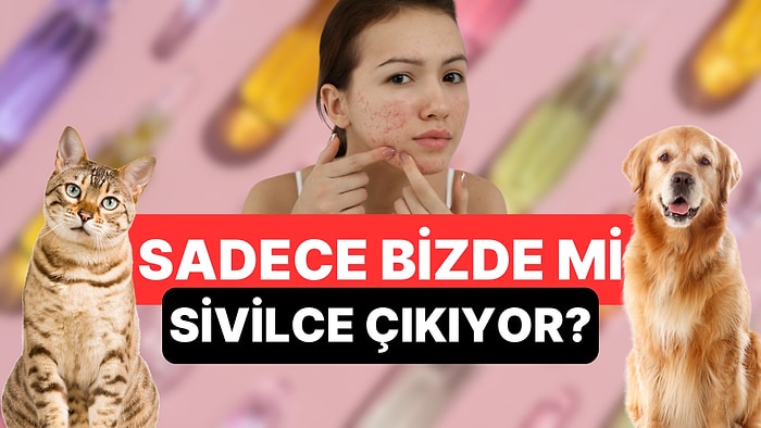 Ergenliğimizin En Büyük Problemi Meğer Kedilerde de Varmış!