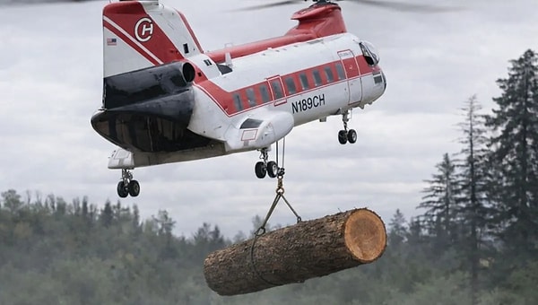ABD’nin Washington eyaleti ve çevresindeki ormanlık bölgelerde, nehir ekosistemlerini eski sağlığına kavuşturmak amacıyla devasa bir hava operasyonu başlatıldı.