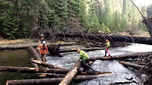 Ölüme terk edilen nehirler tekrardan hayata getiriliyor.