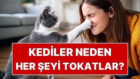 Kediler Neden Her Şeyi Tokatlar veya Devirir?