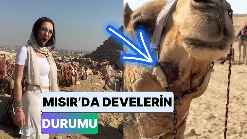 Mısır'ı Ziyaret Eden Bir Turist Hayvanların Yaşadığı Kötü Koşulları Paylaştı