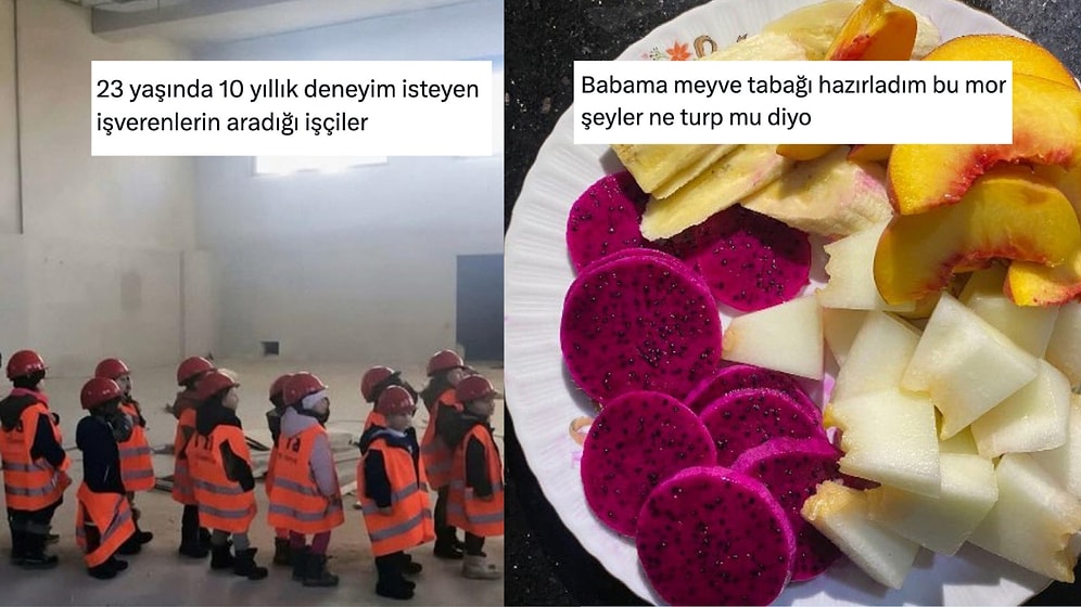 Deneyim Takıntılı İşverenden Babaların Tuhaf Yanıtlarına Son 24 Saatin Viral Tweetleri