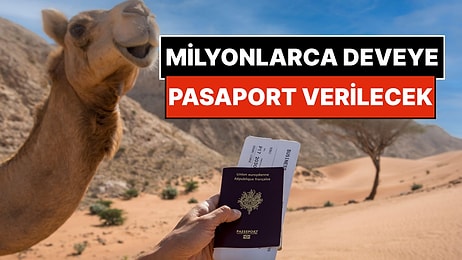 Milyonlarca Pasaportu Bedavaya Dağıtıyorlar: İnsana Değil, Çöldeki Deveye Veriliyor