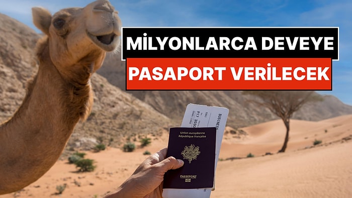 Milyonlarca Pasaportu Bedavaya Dağıtıyorlar: İnsana Değil, Çöldeki Deveye Veriliyor