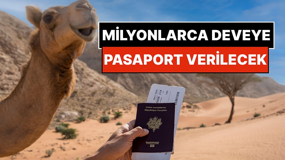 Milyonlarca Pasaportu Bedavaya Dağıtıyorlar: İnsana Değil, Çöldeki Deveye Veriliyor