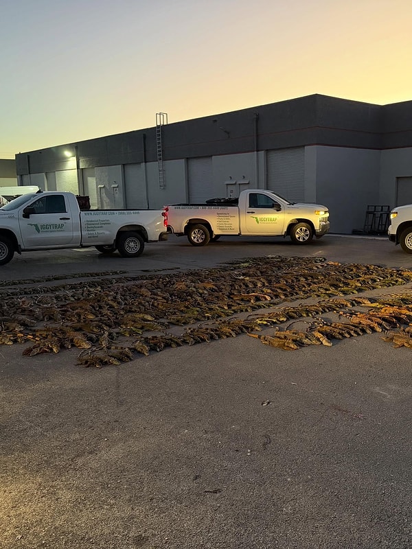 Soğuk nedeniyle hareket kabiliyetleri kısıtlanıyor.