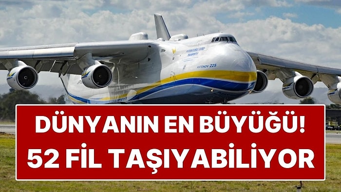 Dünyanın En Büyük Uçağı! O Kadar Devasa ki 52 Yetişkin Fili Taşıyabiliyor
