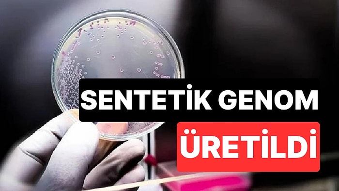Yapay Zeka İlk Kez Sıfırdan Virüs Tasarladı: Laboratuvarda Sentetik Genom Üretildi