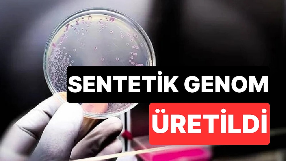 Yapay Zeka İlk Kez Sıfırdan Virüs Tasarladı: Laboratuvarda Sentetik Genom Üretildi
