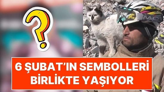 6 Şubat Depreminin Unutulmaz Karesindeki O İkili: Ali Çakas ve 'Enkaz'ın Mardin'deki Yeni Yaşamı