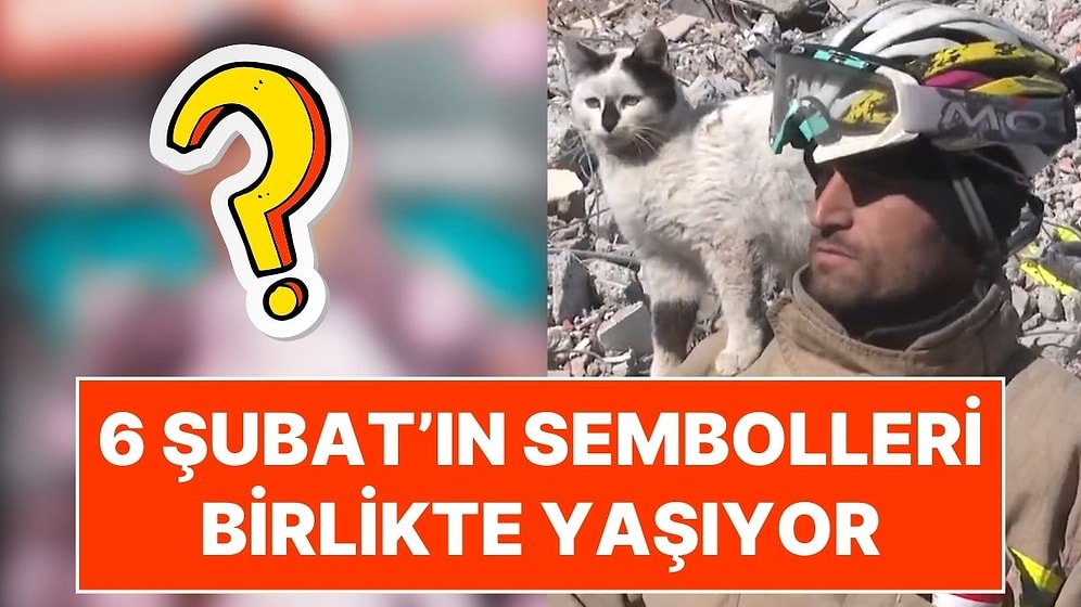 6 Şubat Depreminin Unutulmaz Karesindeki O İkili: Ali Çakas ve 'Enkaz'ın Mardin'deki Yeni Yaşamı